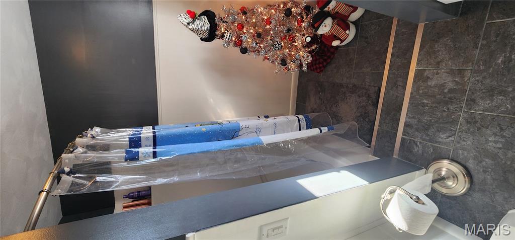 1718 Swanwick Street Chester, IL 62233 - Photo 28 of 44