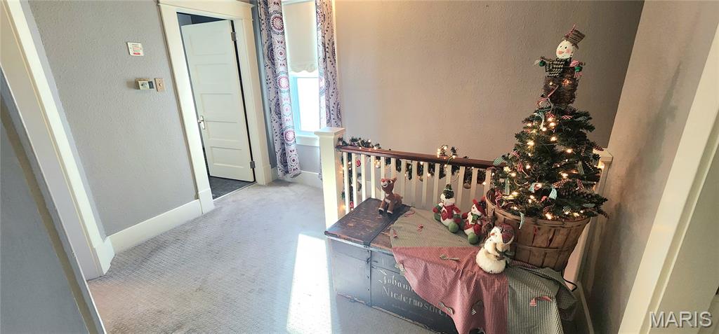 1718 Swanwick Street Chester, IL 62233 - Photo 38 of 44