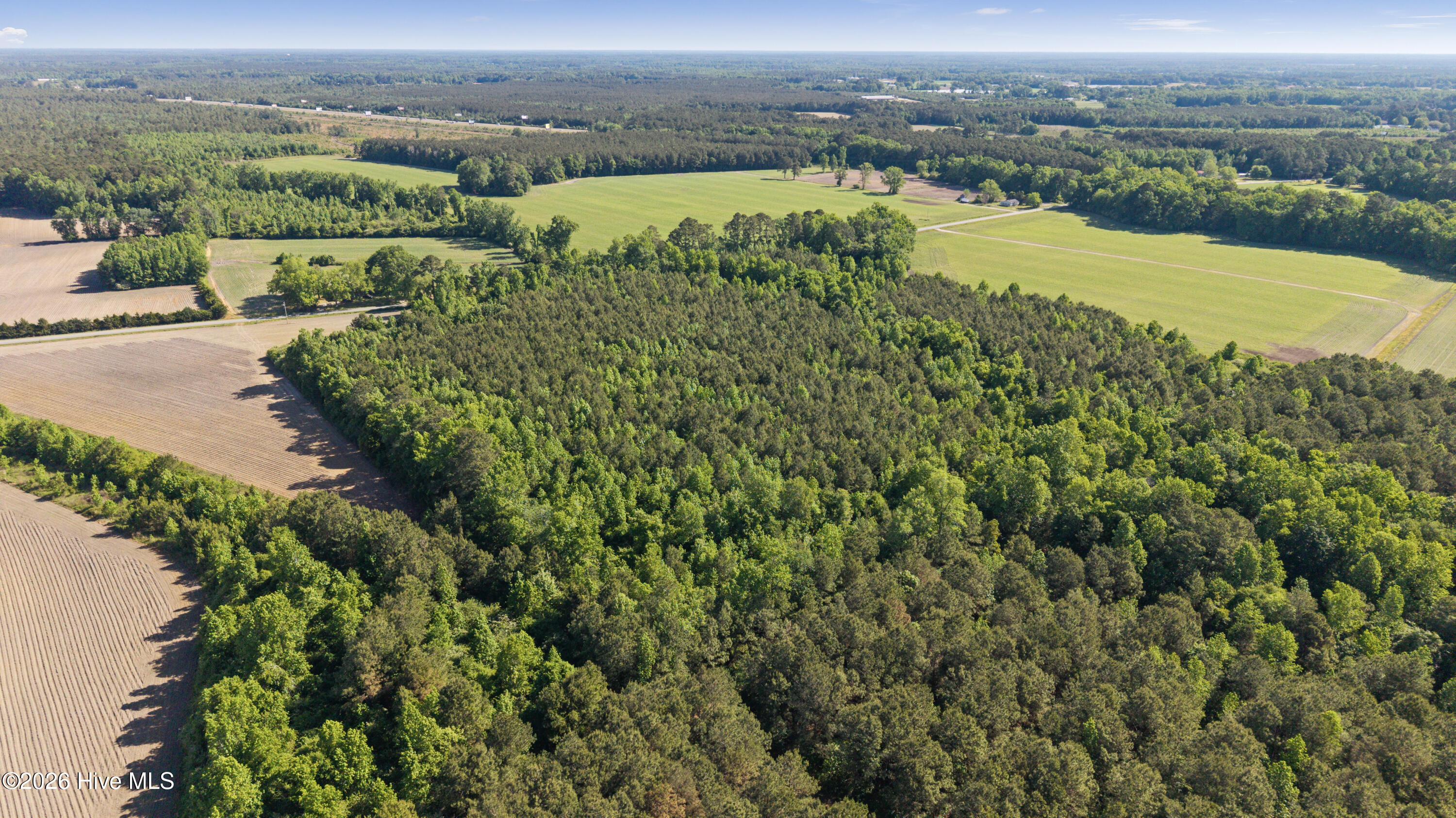 26-acres High School Road Teachey, NC 28464 - Photo 11 of 23 15-DJI_20260428094359_0080_D