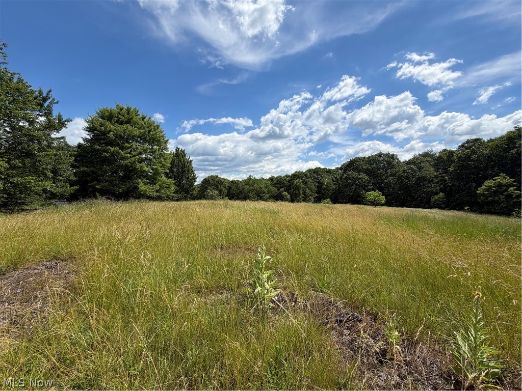 15441 Johnson Road Lisbon, OH 44432 - Photo 10 of 45 Expansive open field featuring natural grasses and perimeter tree lines