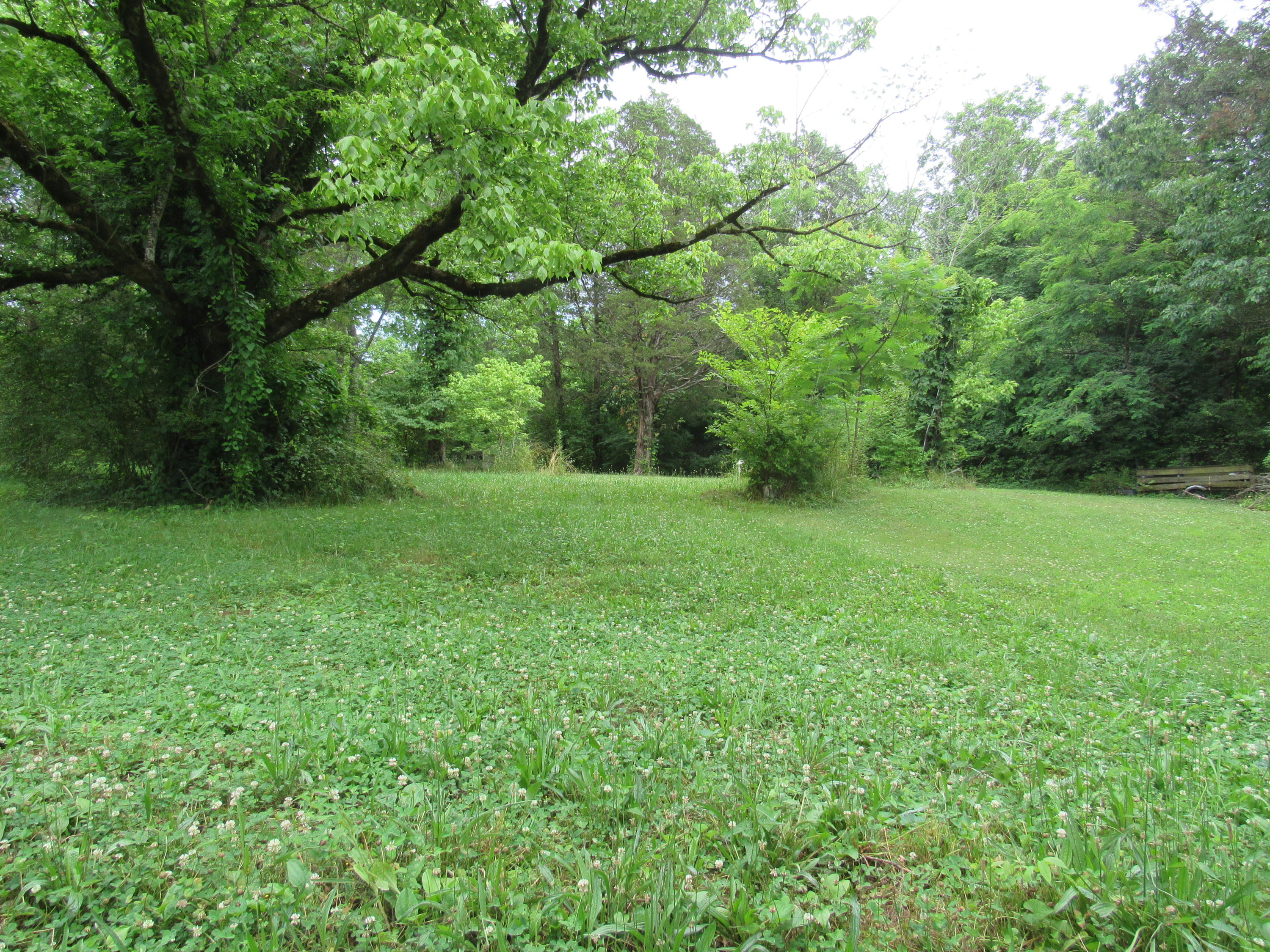 4720 Prospect Road Knoxville, TN 37920 - Photo 1 of 7 3