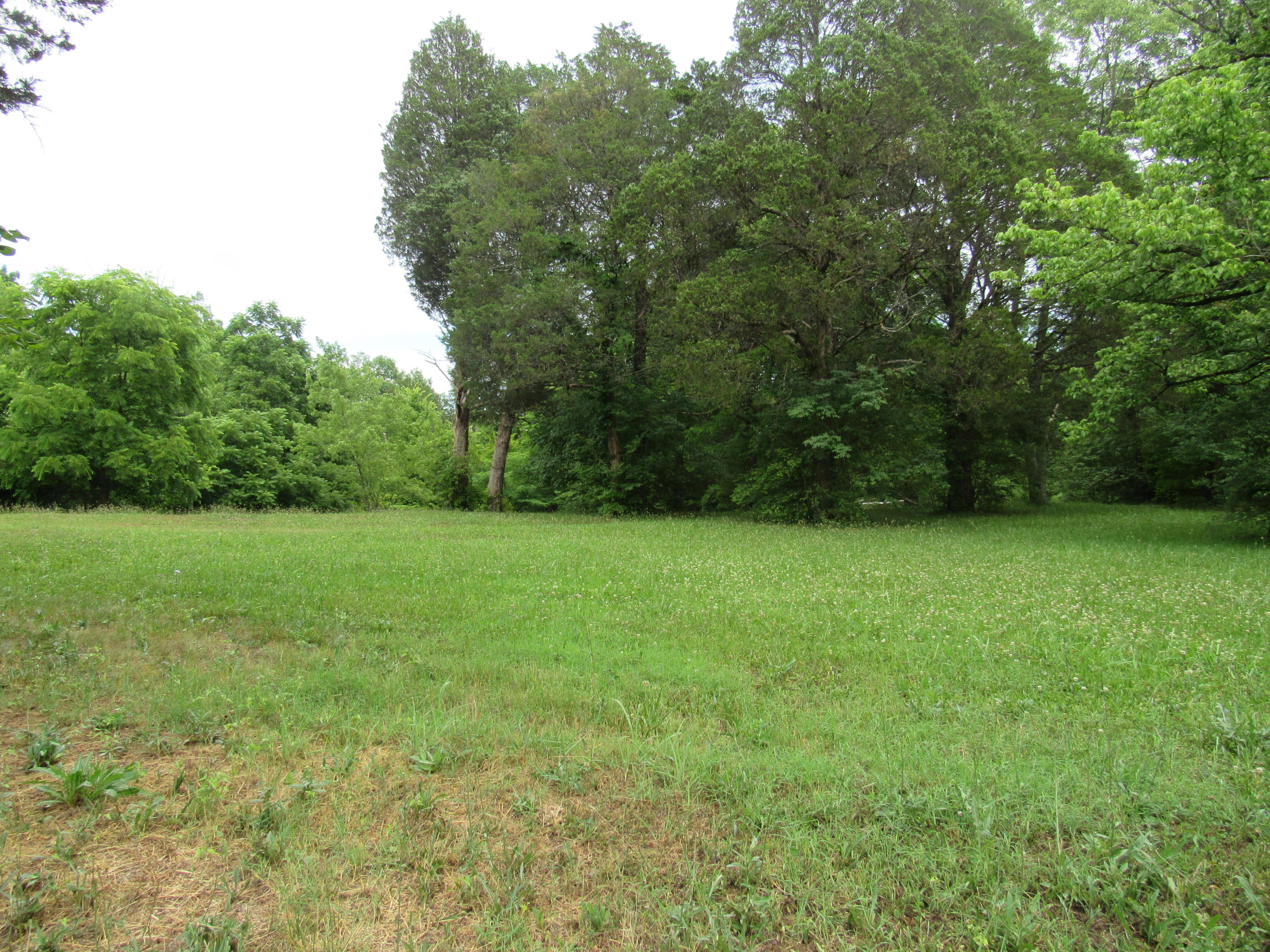 4720 Prospect Road Knoxville, TN 37920 - Photo 2 of 7 1a