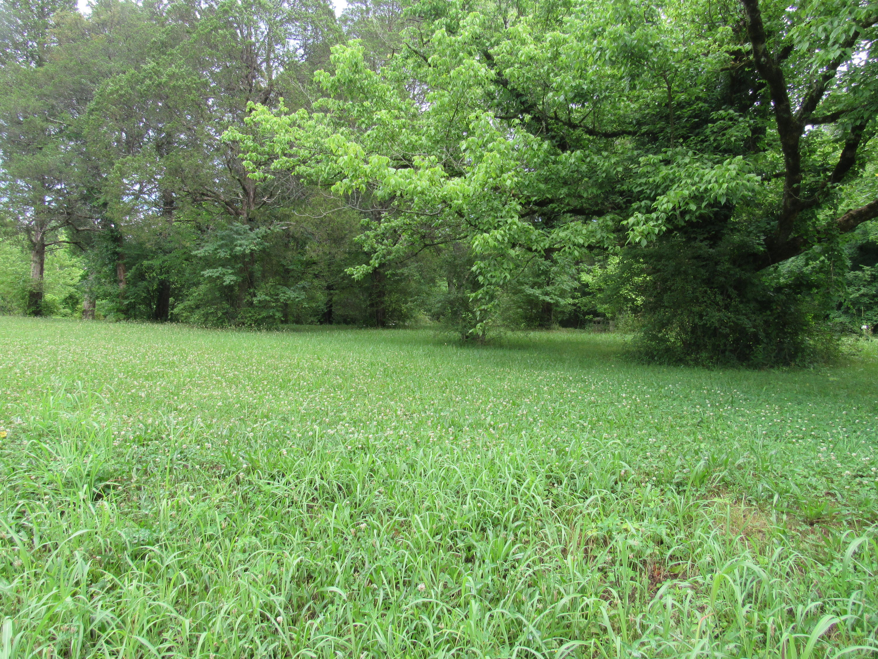 4720 Prospect Road Knoxville, TN 37920 - Photo 4 of 7 2