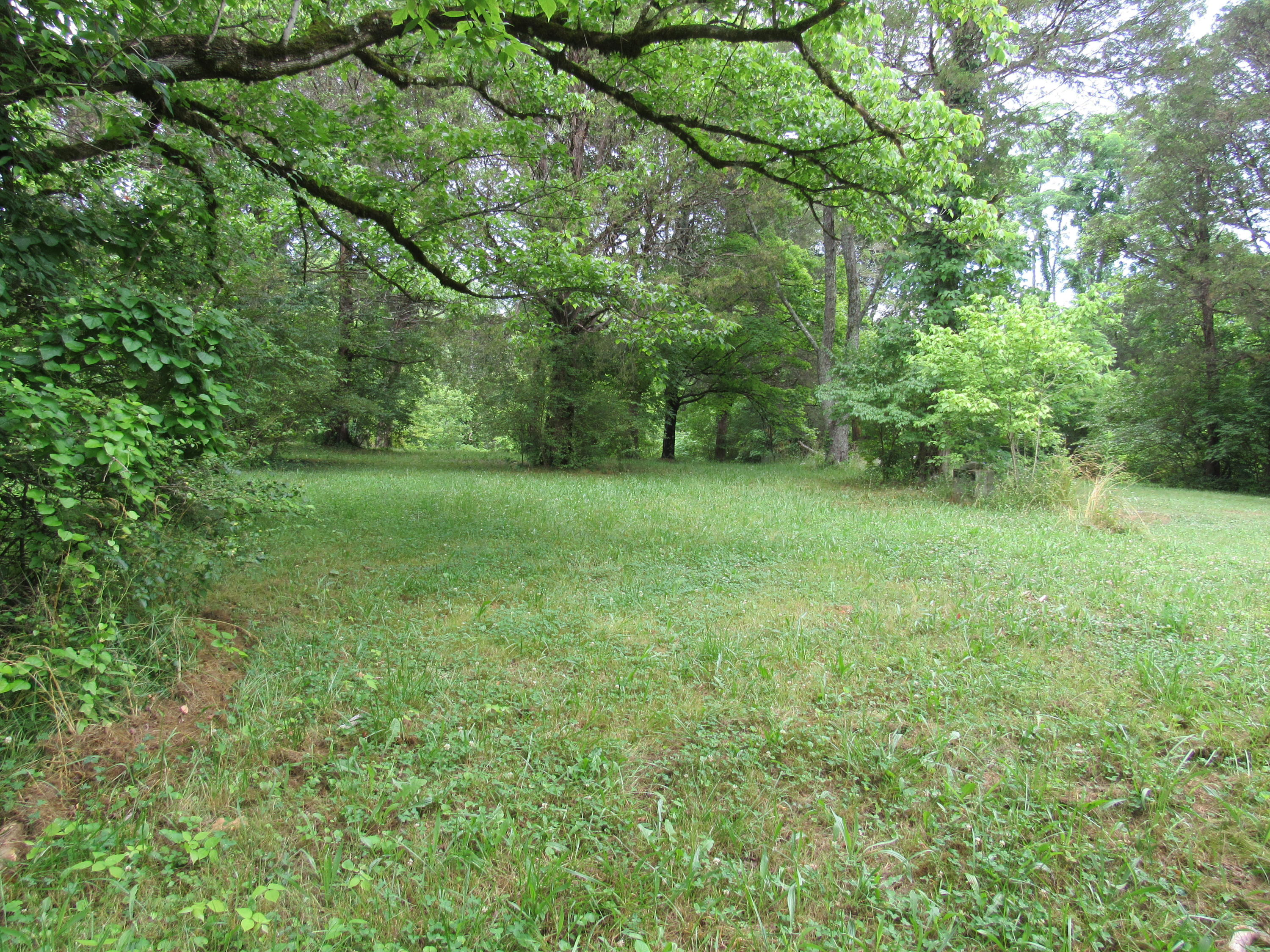 4720 Prospect Road Knoxville, TN 37920 - Photo 5 of 7 4