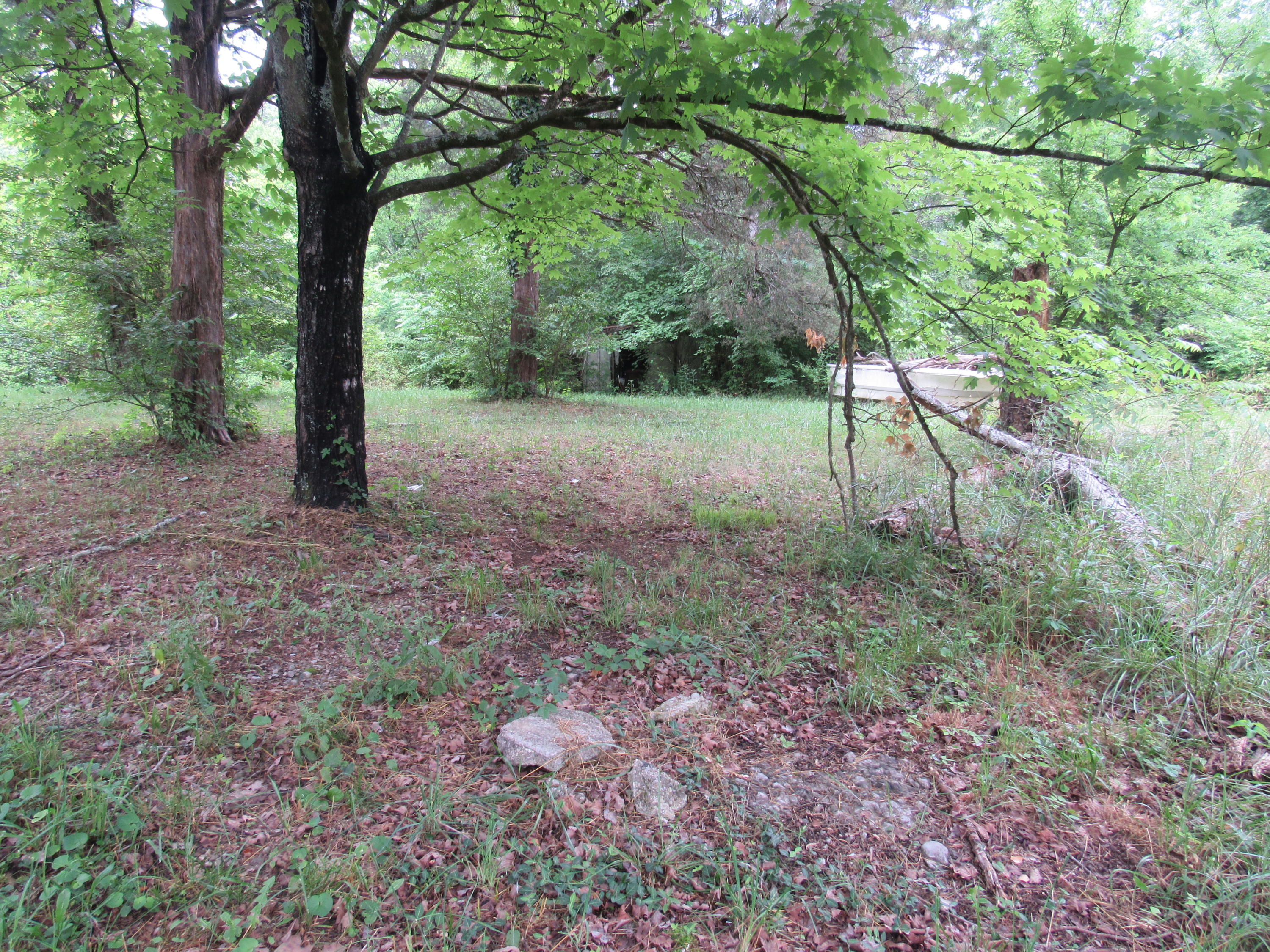 4720 Prospect Road Knoxville, TN 37920 - Photo 7 of 7 7