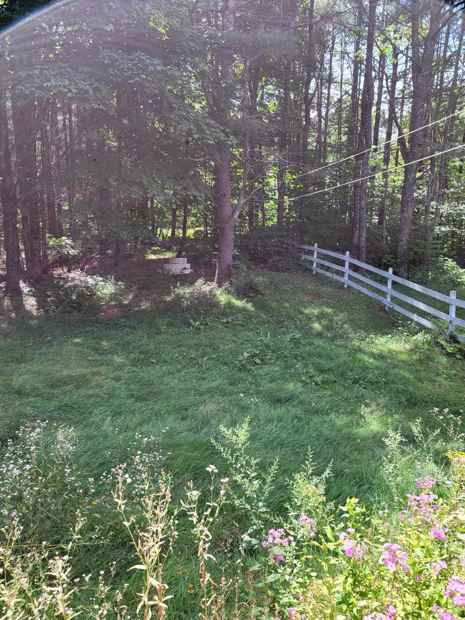 346 Bond Spring Road West Newfield, ME 04095 - Photo 7 of 23 Bond Spring side yard