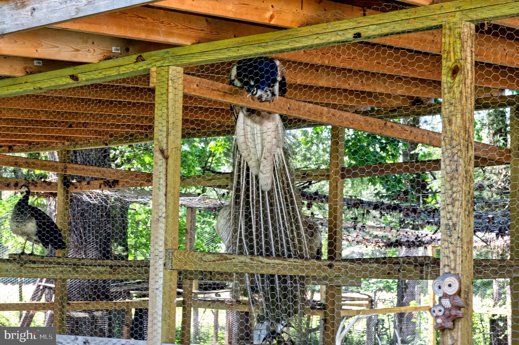 10439 Ashcake Road Ashland, VA 23005 - Photo 23 of 27 a view of a balcony with an outdoor space