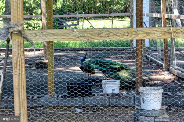 a view of a large mirror on a city street