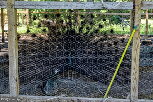 a view of roof with wooden floor