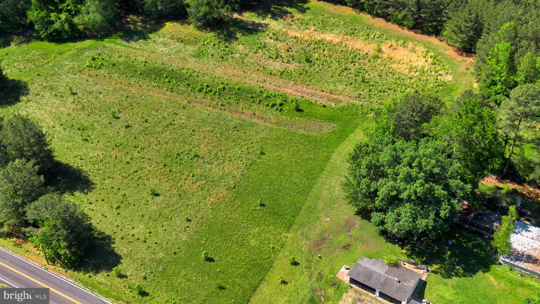10439 Ashcake Road Ashland, VA 23005 - Photo 9 of 27 a view of a garden