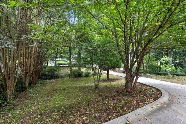 a view of a tree in the garden