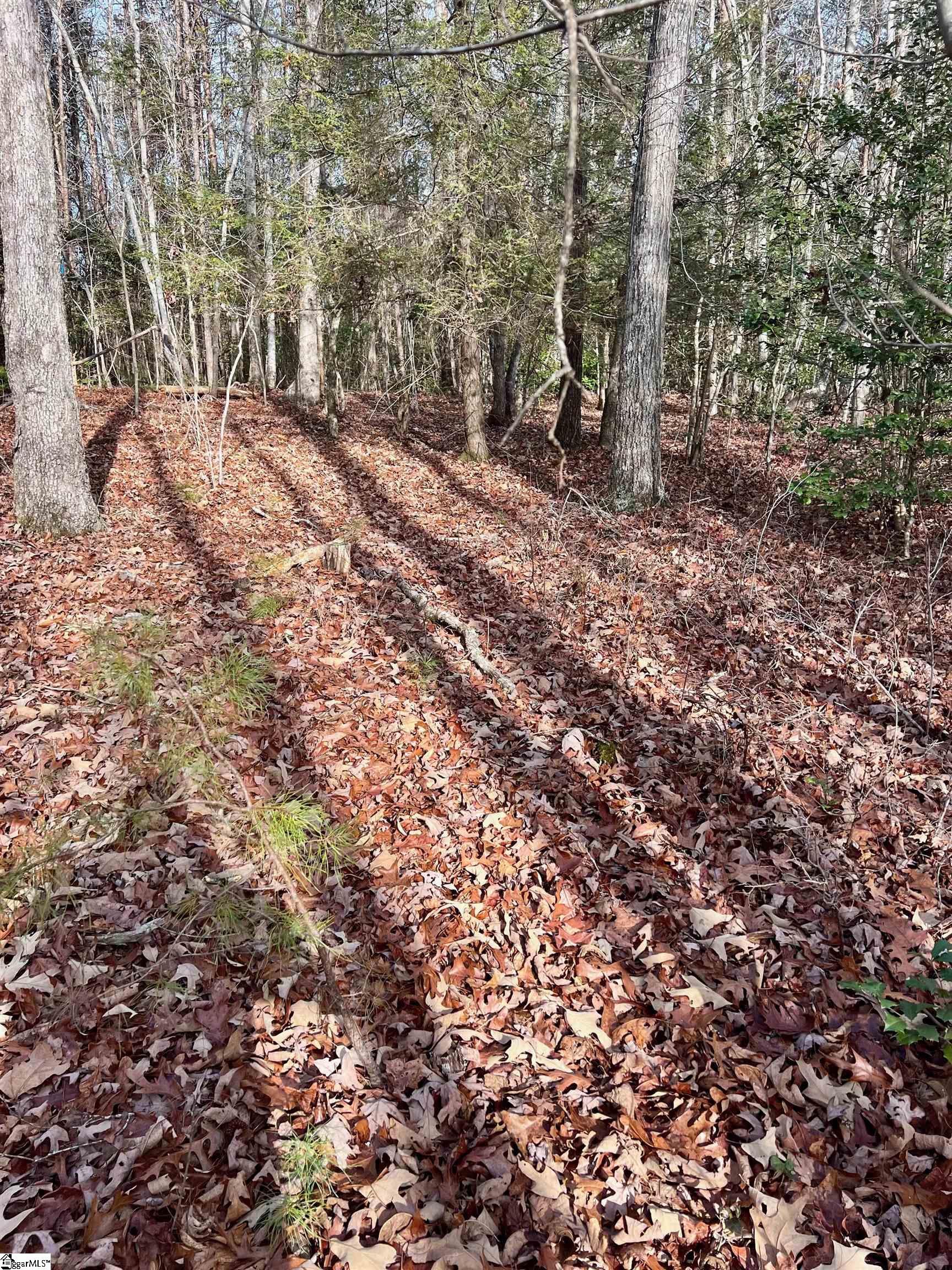0 Hamilton Road, Unit TRACT 1 Marietta, SC 29661 - Photo 4 of 9
