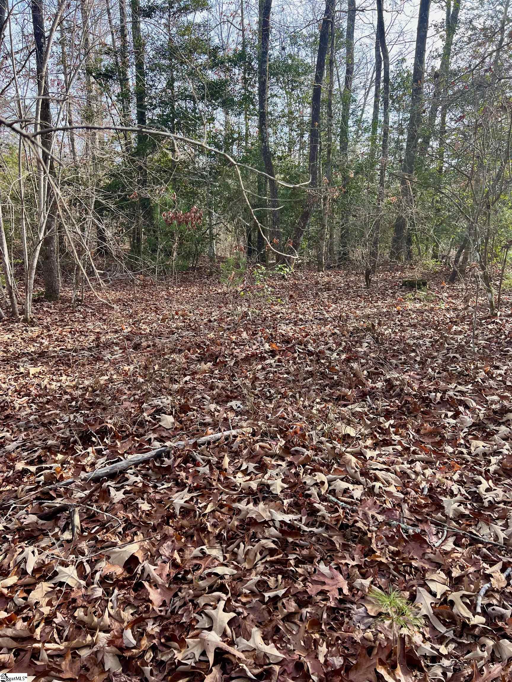 0 Hamilton Road, Unit TRACT 1 Marietta, SC 29661 - Photo 5 of 9