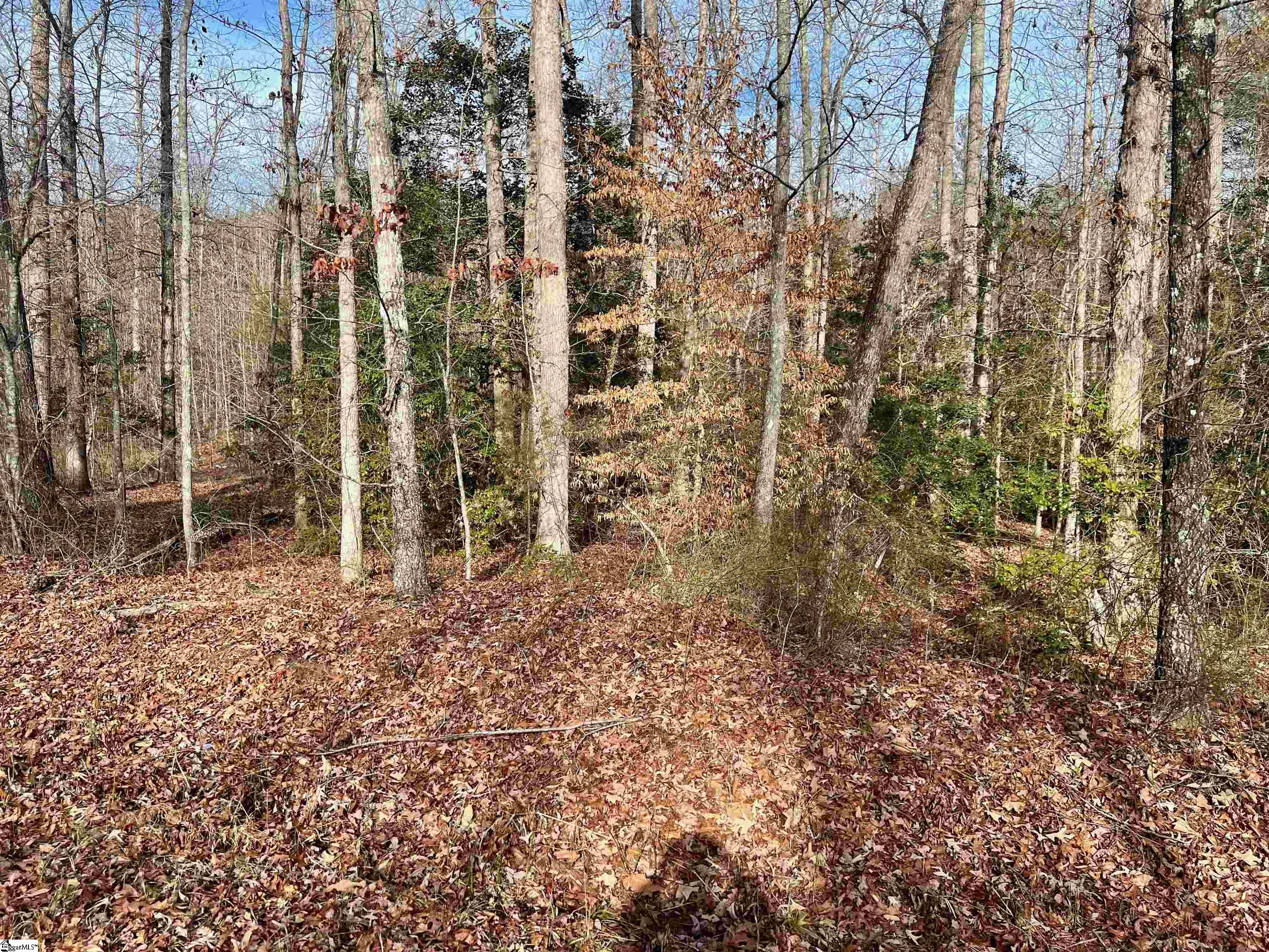 0 Hamilton Road, Unit TRACT 1 Marietta, SC 29661 - Photo 6 of 9