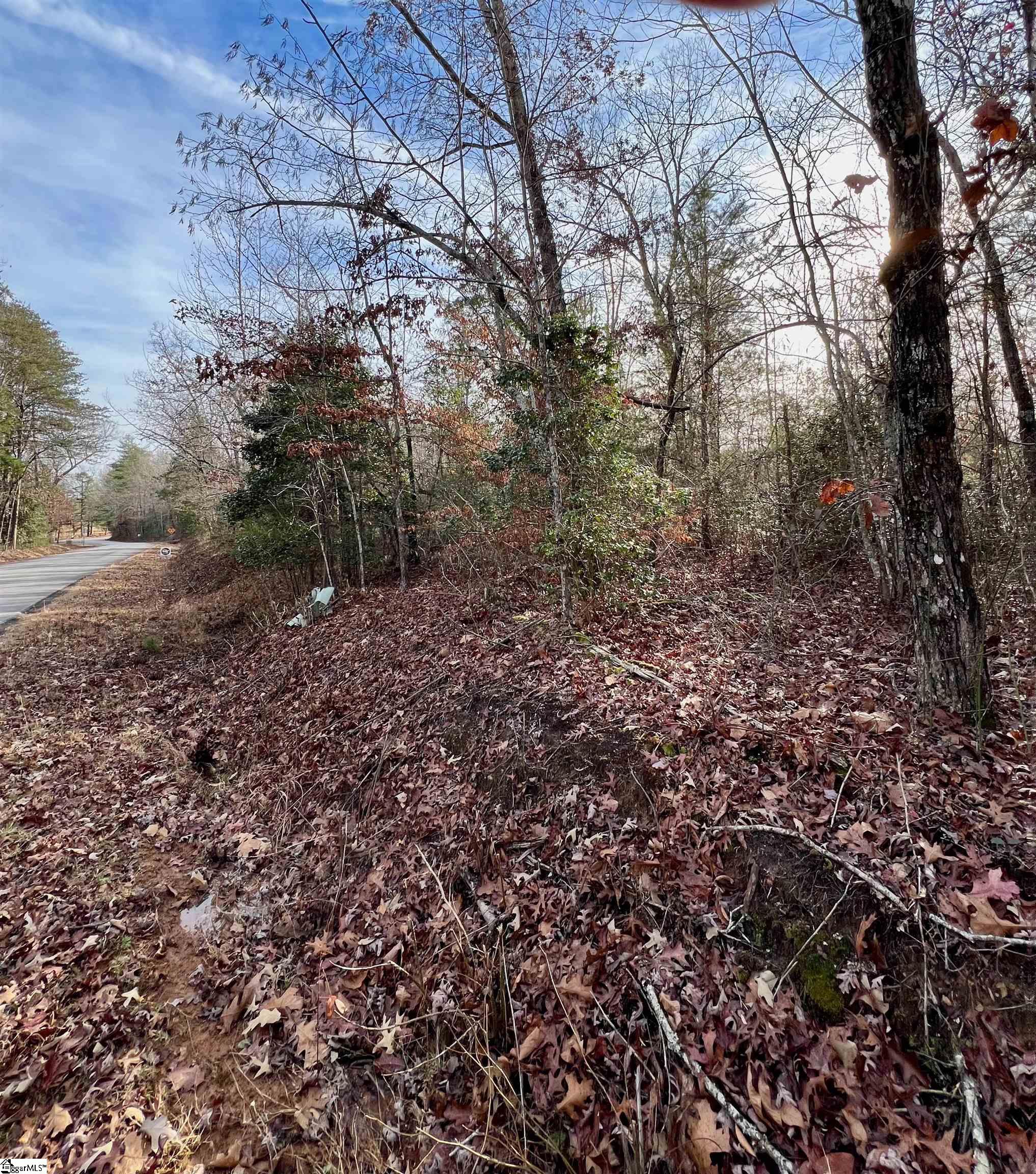 0 Hamilton Road, Unit TRACT 1 Marietta, SC 29661 - Photo 9 of 9