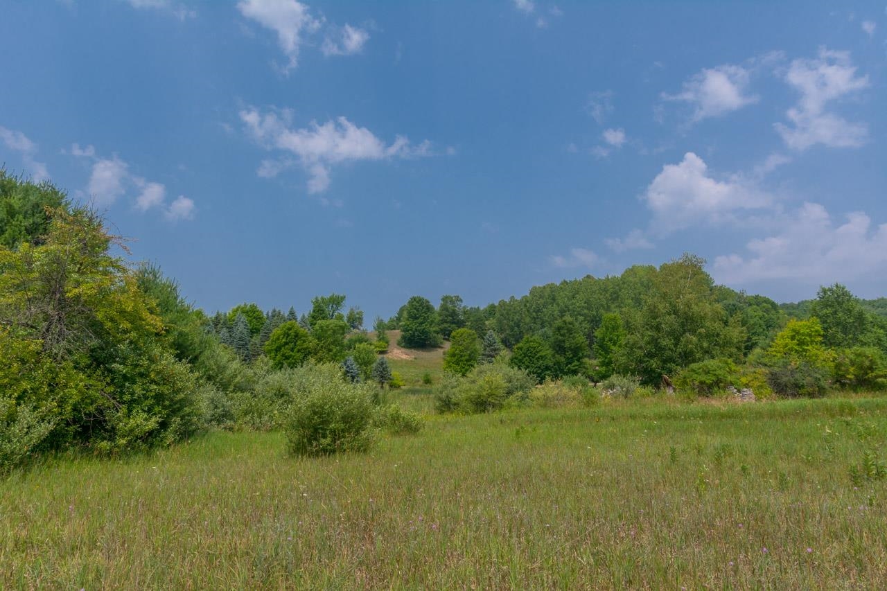 7557 South Schomberg Road Cedar, MI 49621 - Photo 38 of 52