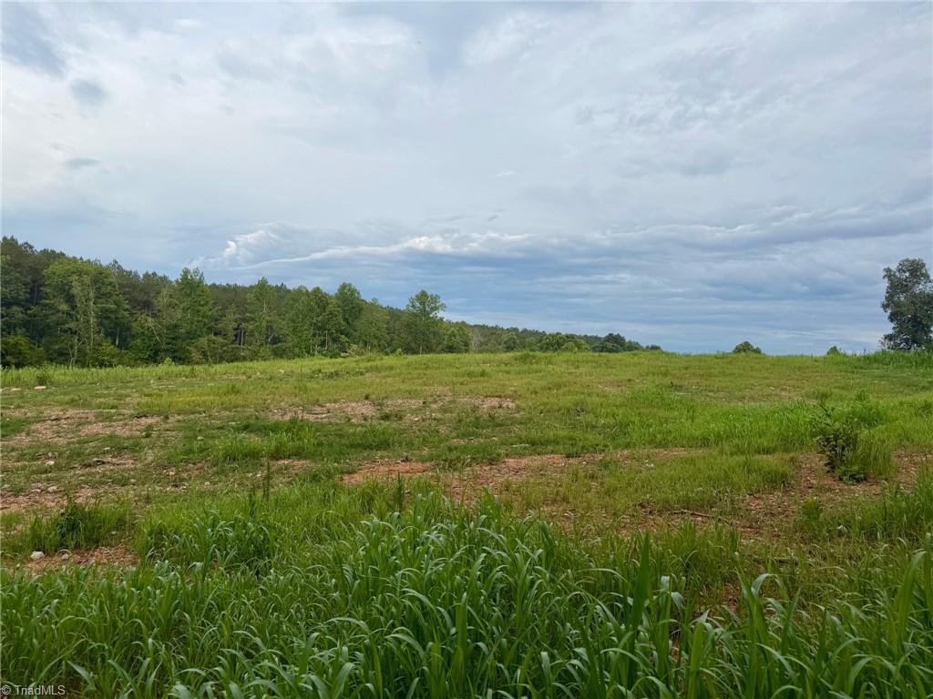 1000 Tarry Church Road Star, NC 27356 - Photo 1 of 10