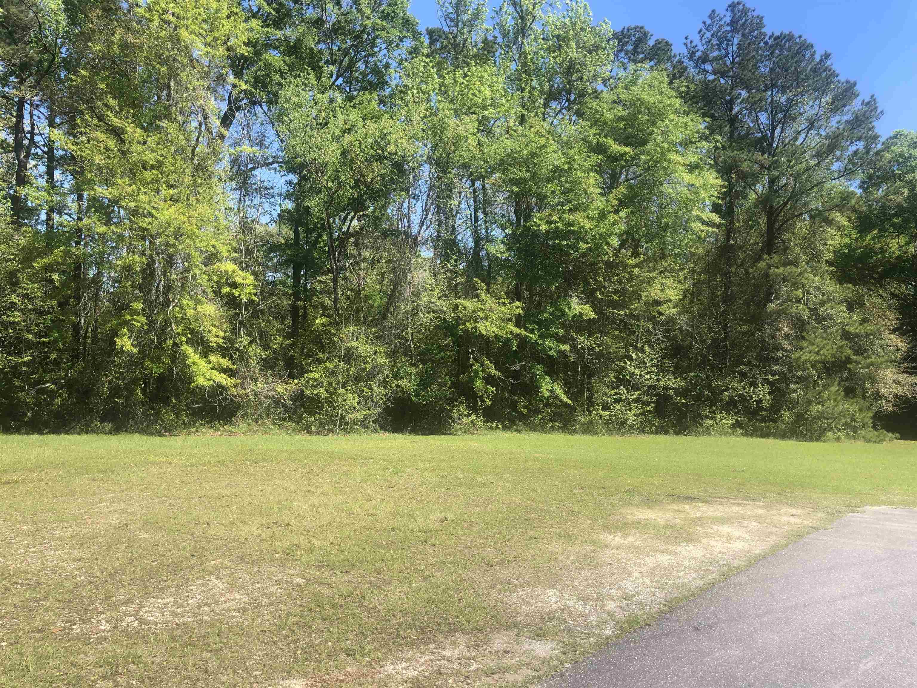 165 Red Bird Road Quincy, FL 32352 - Photo 6 of 6 Gallery Image 6