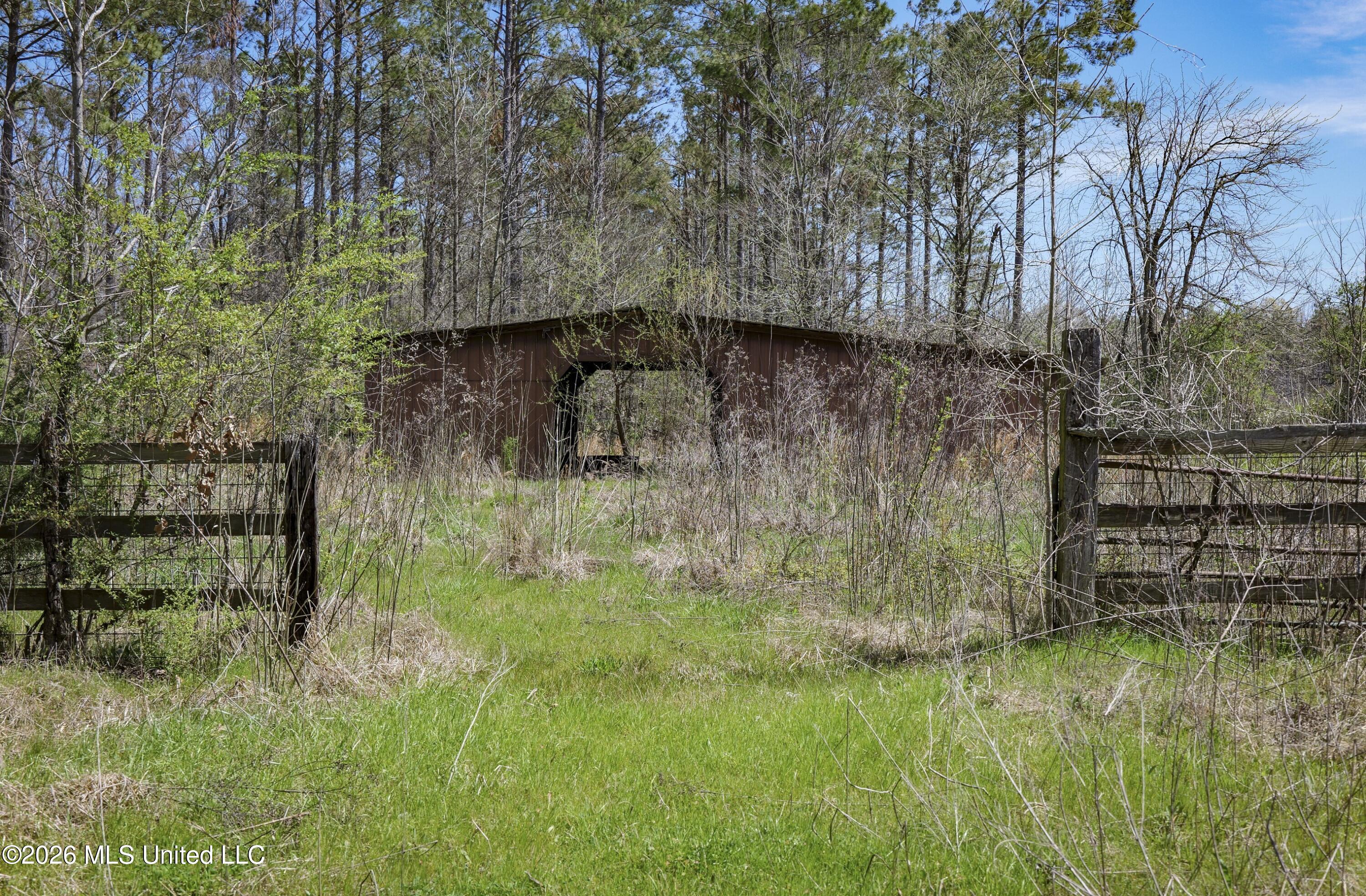 Wise Bend Road Thaxton, MS 38871 - Photo 8 of 22 1