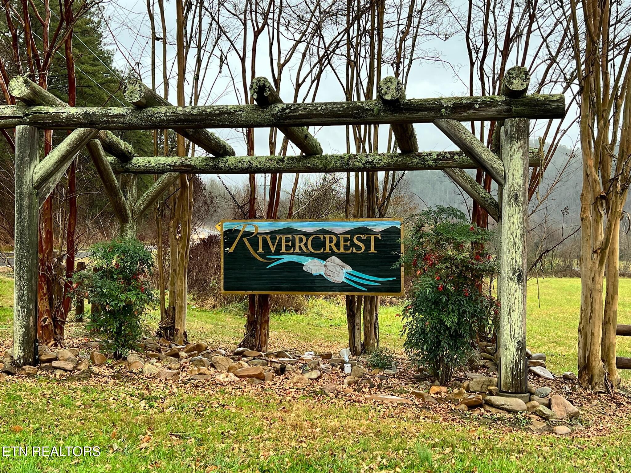 a view of a street sign under a large tree