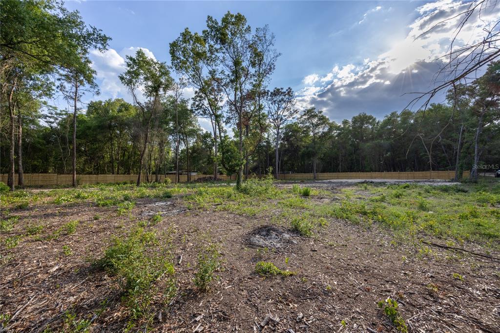 6397 Baylor Avenue Keystone Heights, FL 32656 - Photo 5 of 14
