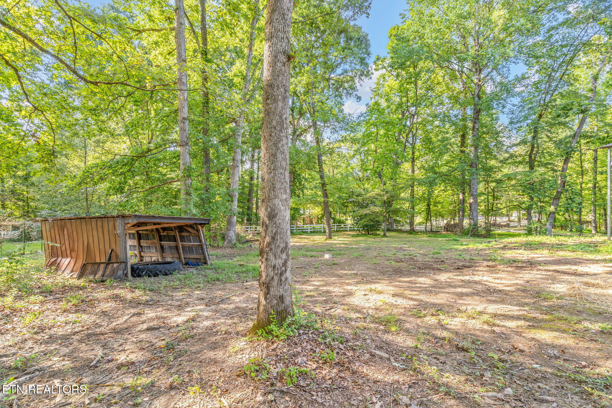 215 Ridge Road Maryville, TN 37803 - Photo 25 of 31 34-web-or-mls-215 Ridge Road-33