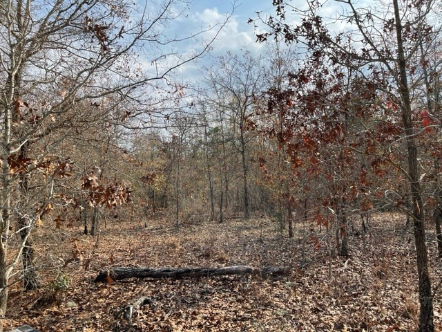 0 Beck Road Williston, SC 29853 - Photo 5 of 5