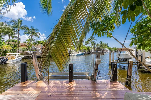 a view of a park with palm trees