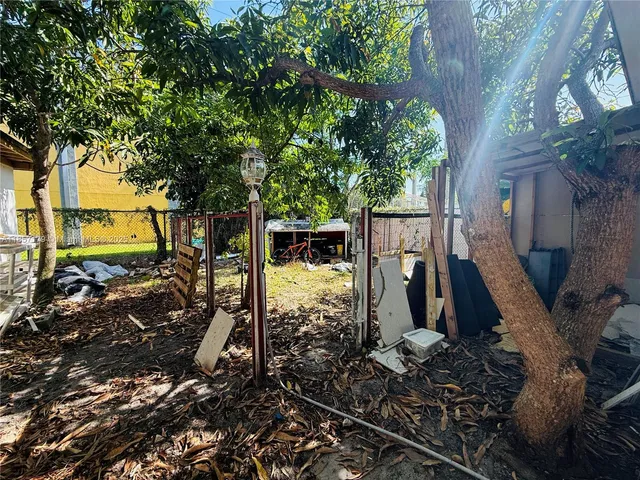 a view of a yard with plants and a large tree