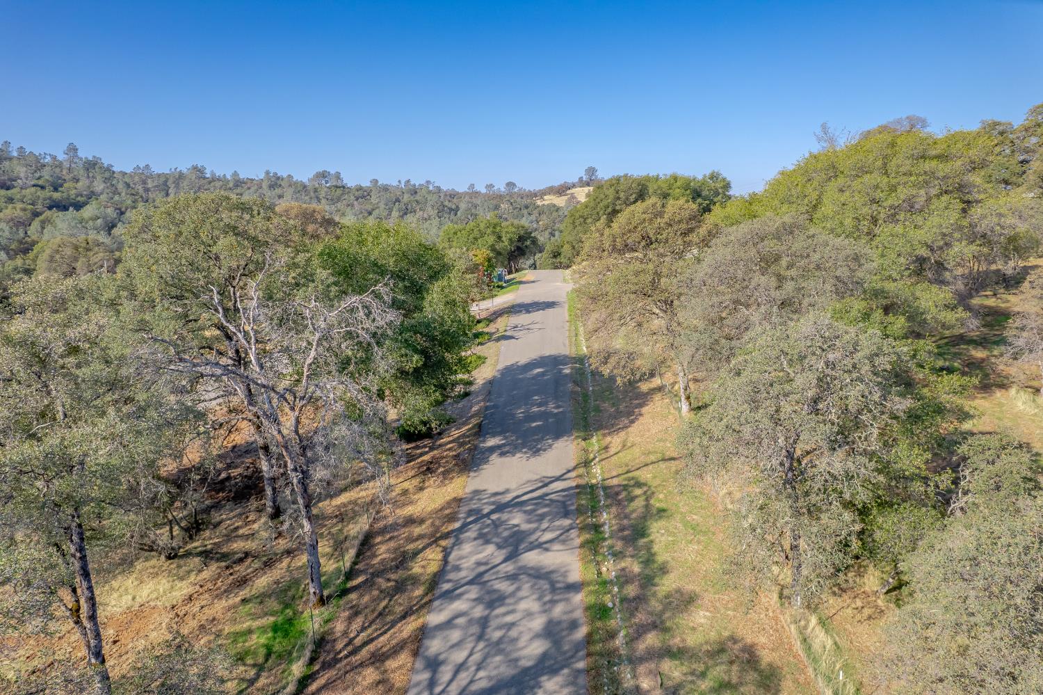 5585 Garden Bar Road Lincoln, CA 95648 - Photo 14 of 25 a view of a yard with a tree in the background