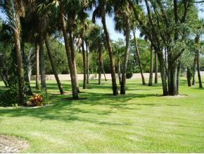 1699 Dawes Road Northeast Palm Bay, FL 32905 - Photo 3 of 6 Additional Photo