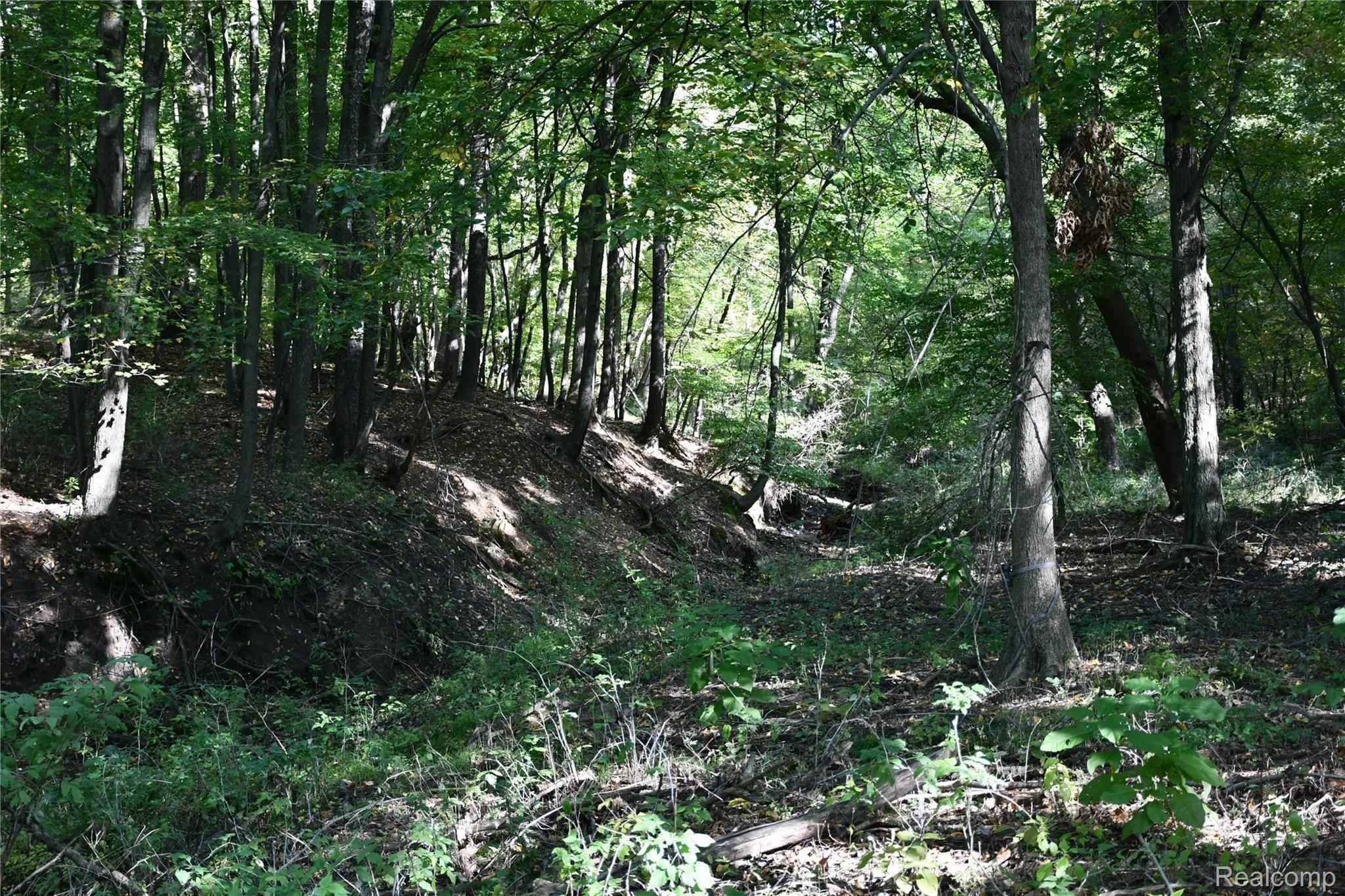 8658 North Lowell Road St. Johns, MI 48879 - Photo 9 of 15 DSC_0929.JPG
