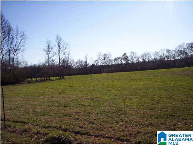 484 Wright Road Blountsville, AL 35031 - Photo 7 of 9