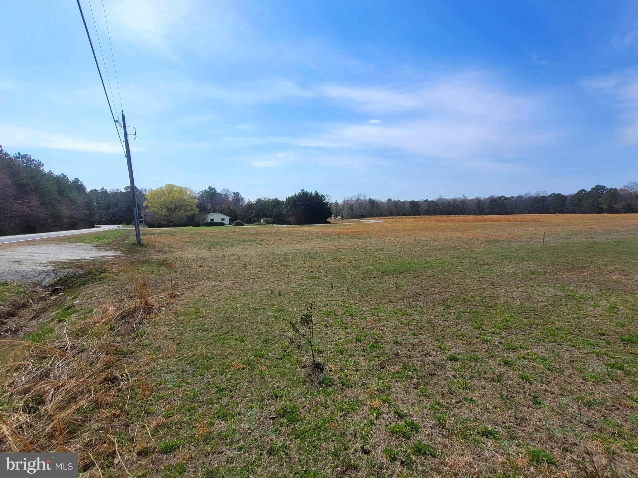 1-acre Lot Shingle Point Road Georgetown, DE 19947 - Photo 3 of 8 View of lot and neighbor's home in the distance.