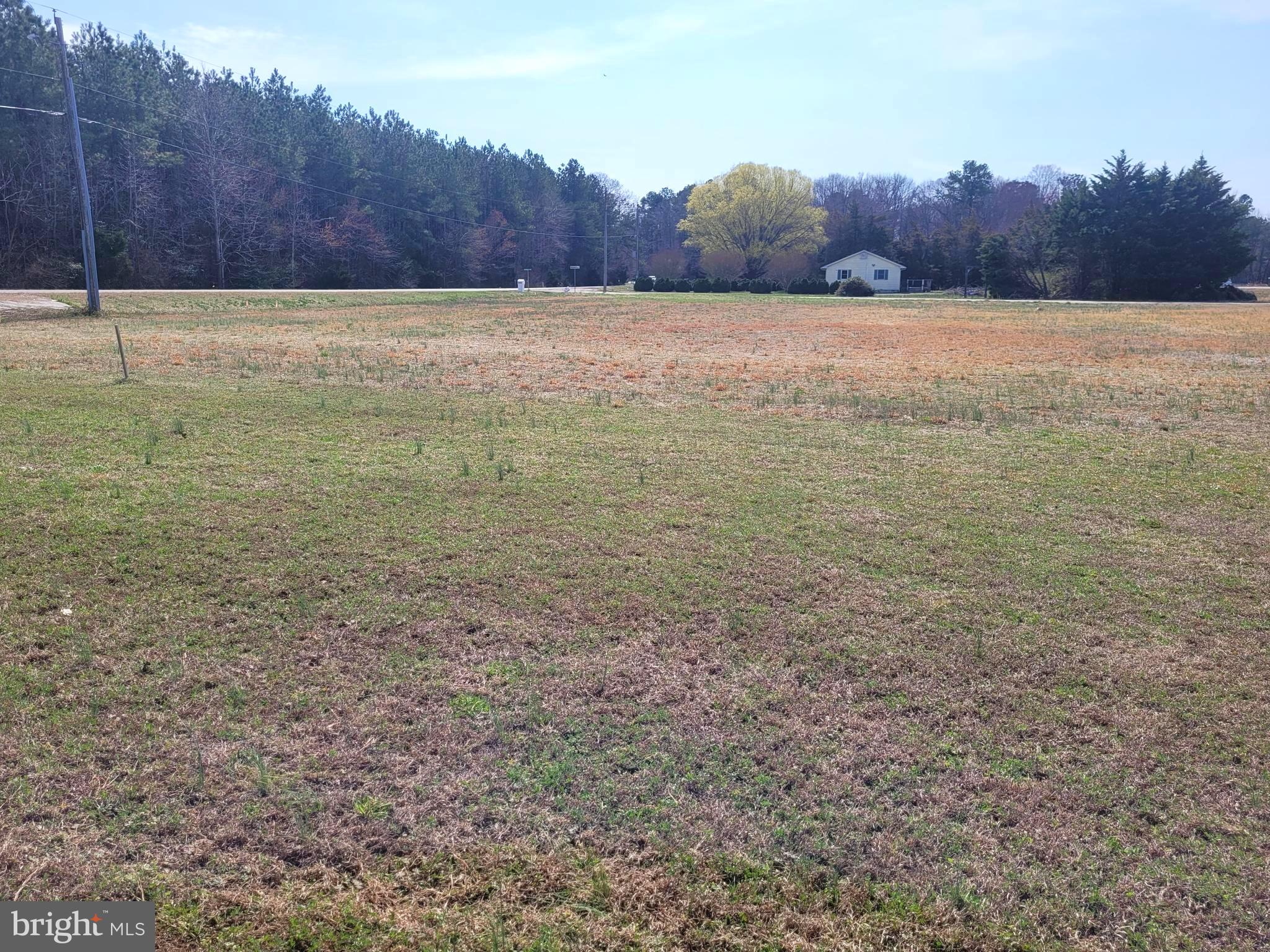 1-acre Lot Shingle Point Road Georgetown, DE 19947 - Photo 4 of 8 Lot from the East