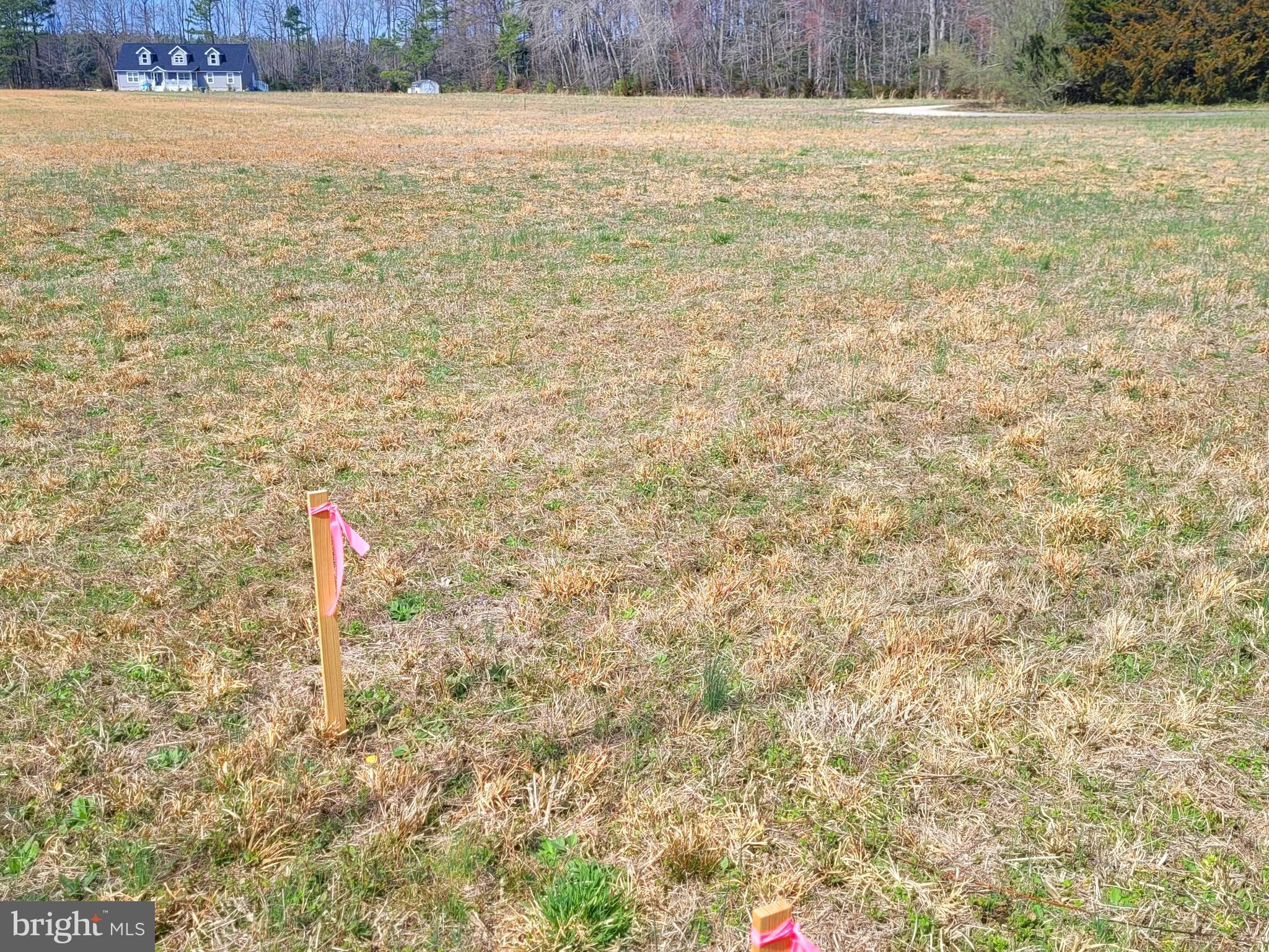 1-acre Lot Shingle Point Road Georgetown, DE 19947 - Photo 5 of 8 Lot from the South