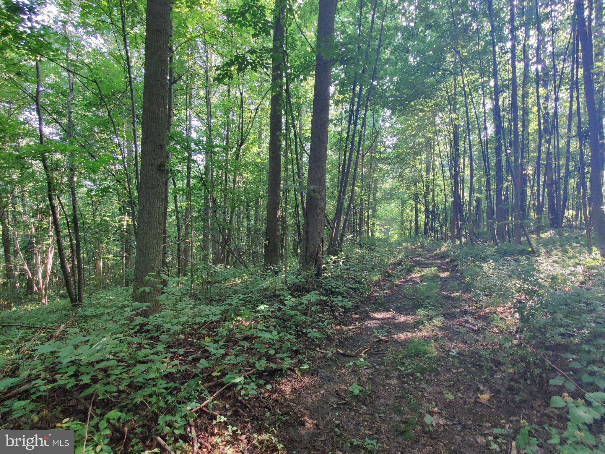 128 Black Road Coatesville, PA 19320 - Photo 14 of 17 a view of outdoor space and green space