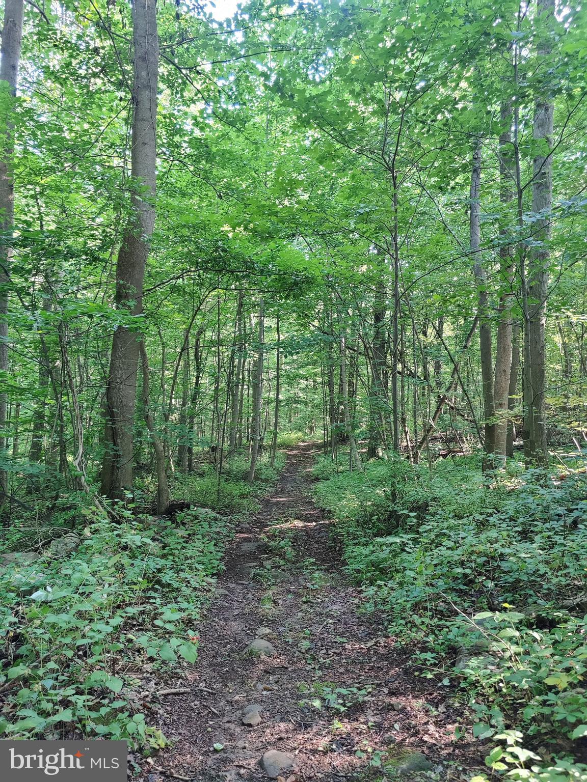 128 Black Road Coatesville, PA 19320 - Photo 15 of 17 a view of outdoor space and green space