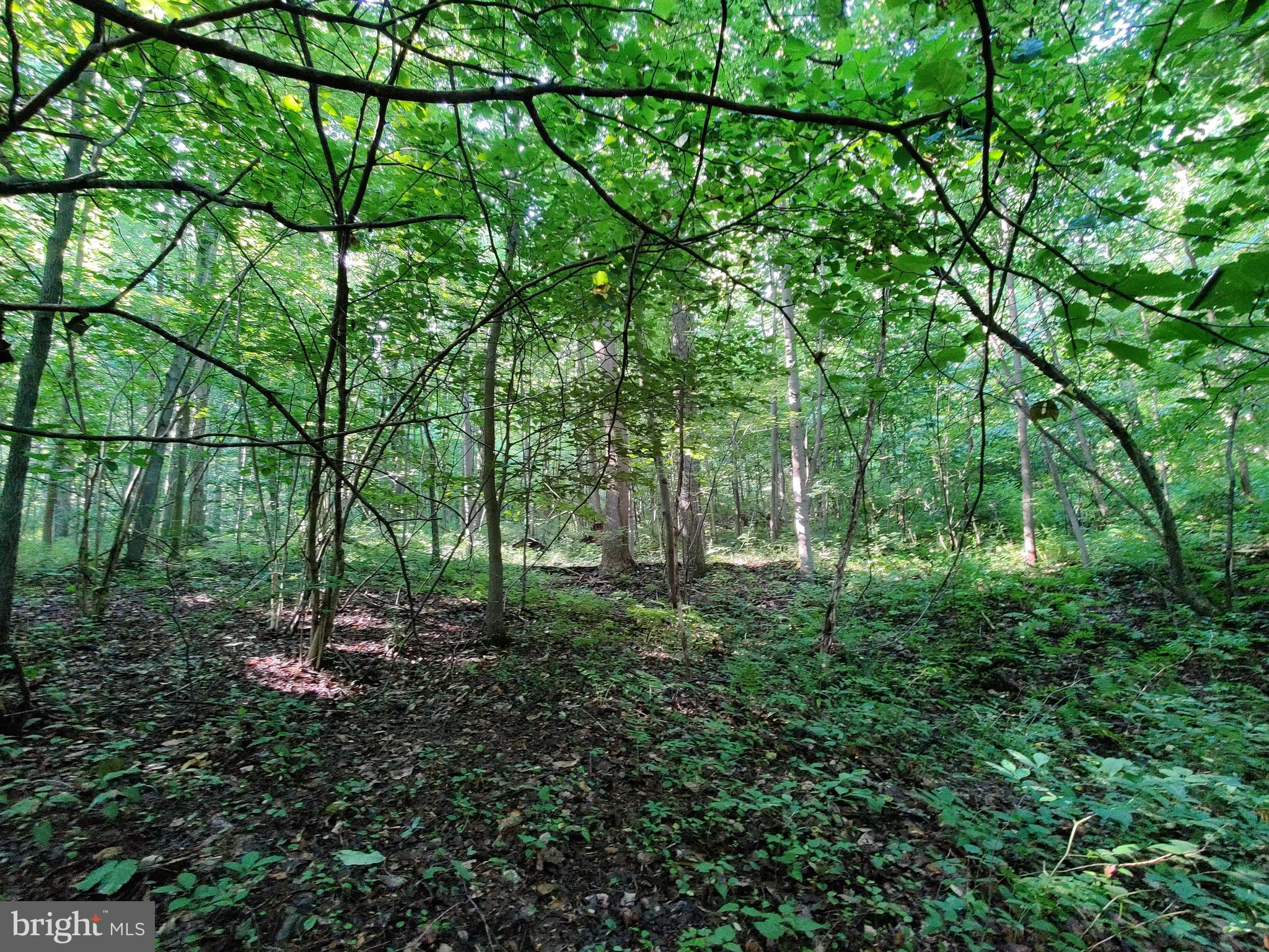 128 Black Road Coatesville, PA 19320 - Photo 10 of 17 a view of outdoor space and green space
