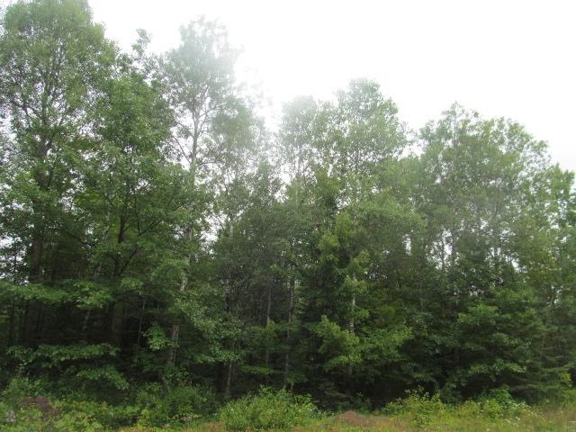 64 Merrill Wi 54452 Merrill, WI 54452 - Photo 1 of 1