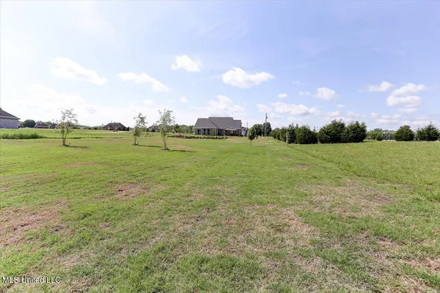 $415,000 | 179 Palomino Run, Holly Springs, MS 38635