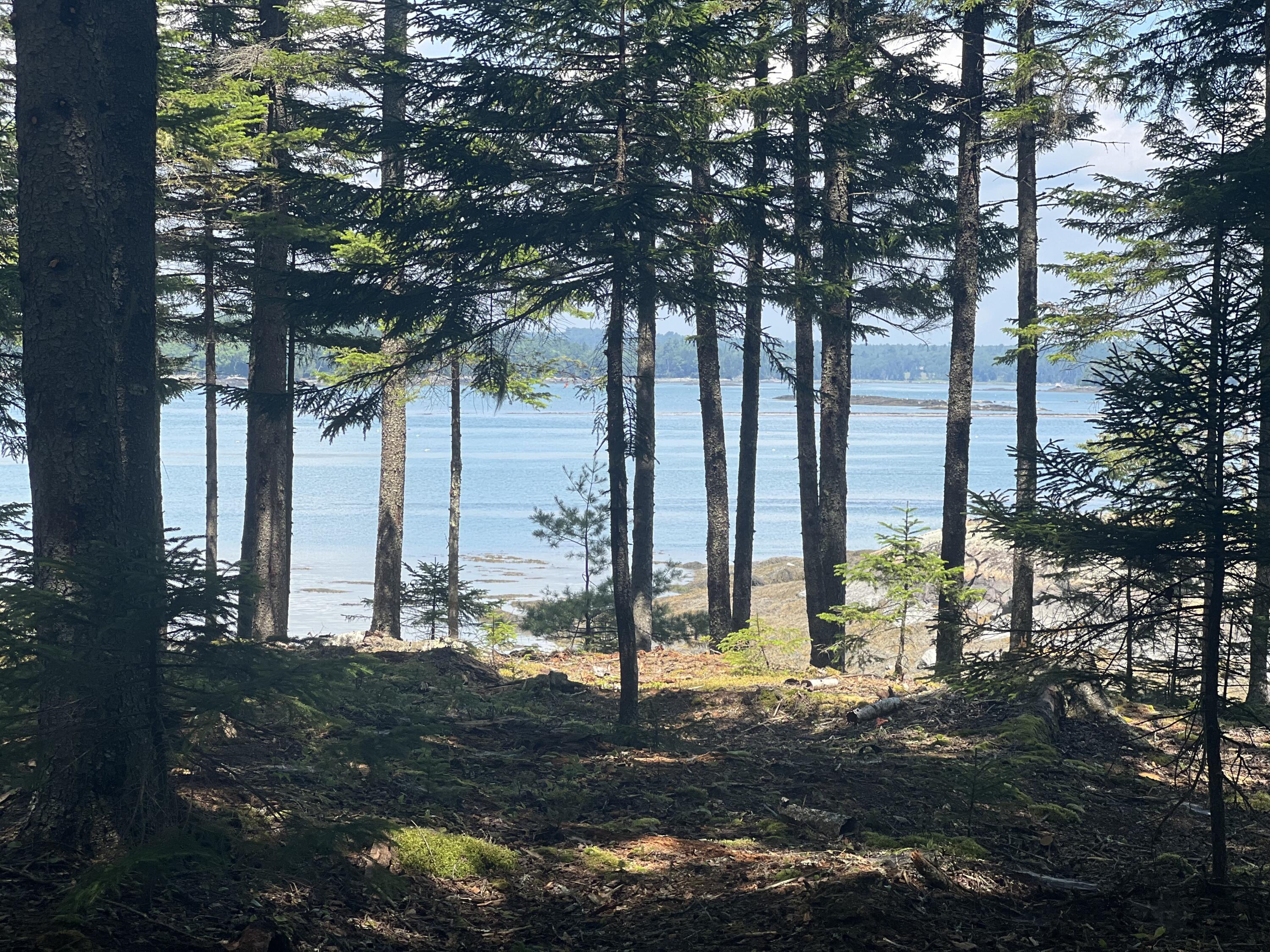 Lot #3 Seal Point Road Lamoine, ME 04605 - Photo 10 of 13 IMG_2830