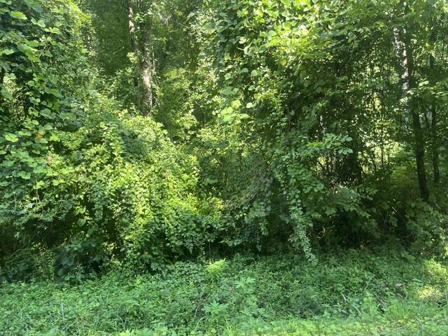 8821 Gann Road, Unit 1 Soddy-Daisy, TN 37379 - Photo 8 of 10 IMG_8039