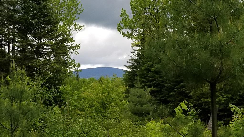 0 Stratton Road Dallas Plt, ME 04970 - Photo 8 of 39 20180607_131213
