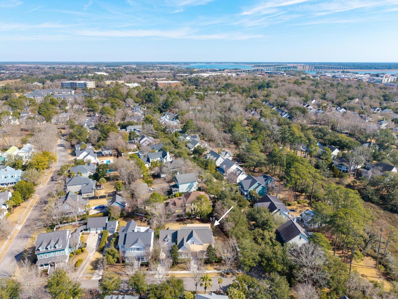 102 Bellinger Street Daniel Island, SC 29492 - Photo 53 of 60 Aerial Seven - 102 Bellinger Street