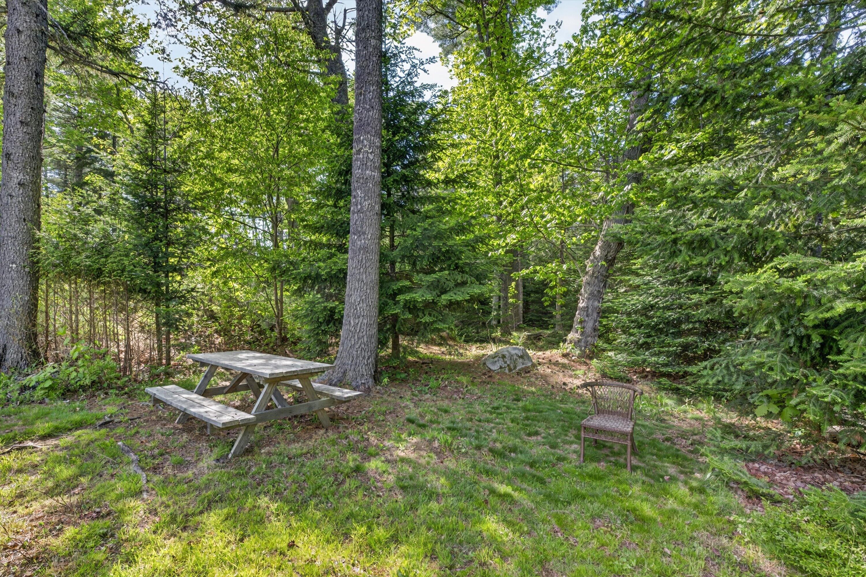5 Hales Woods Road Brooklin, ME 04616 - Photo 38 of 54 50-5 Hales Woods Rd.-1590
