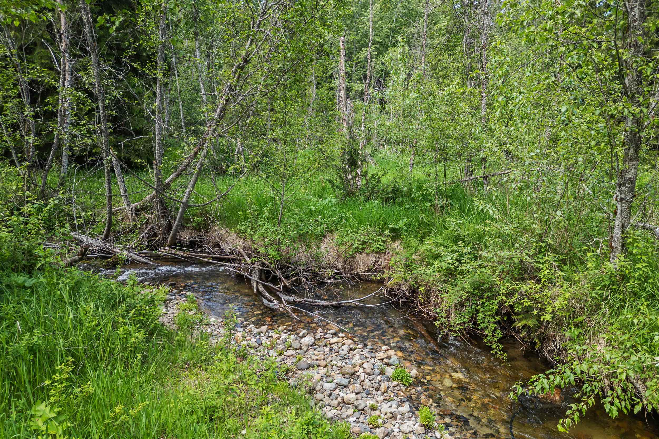 312 Stecker Road Ione, WA 99139 - Photo 36 of 42