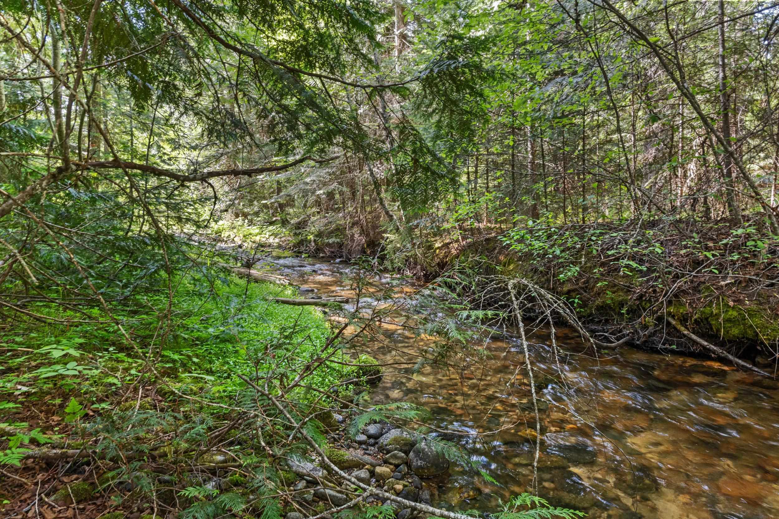 312 Stecker Road Ione, WA 99139 - Photo 37 of 42