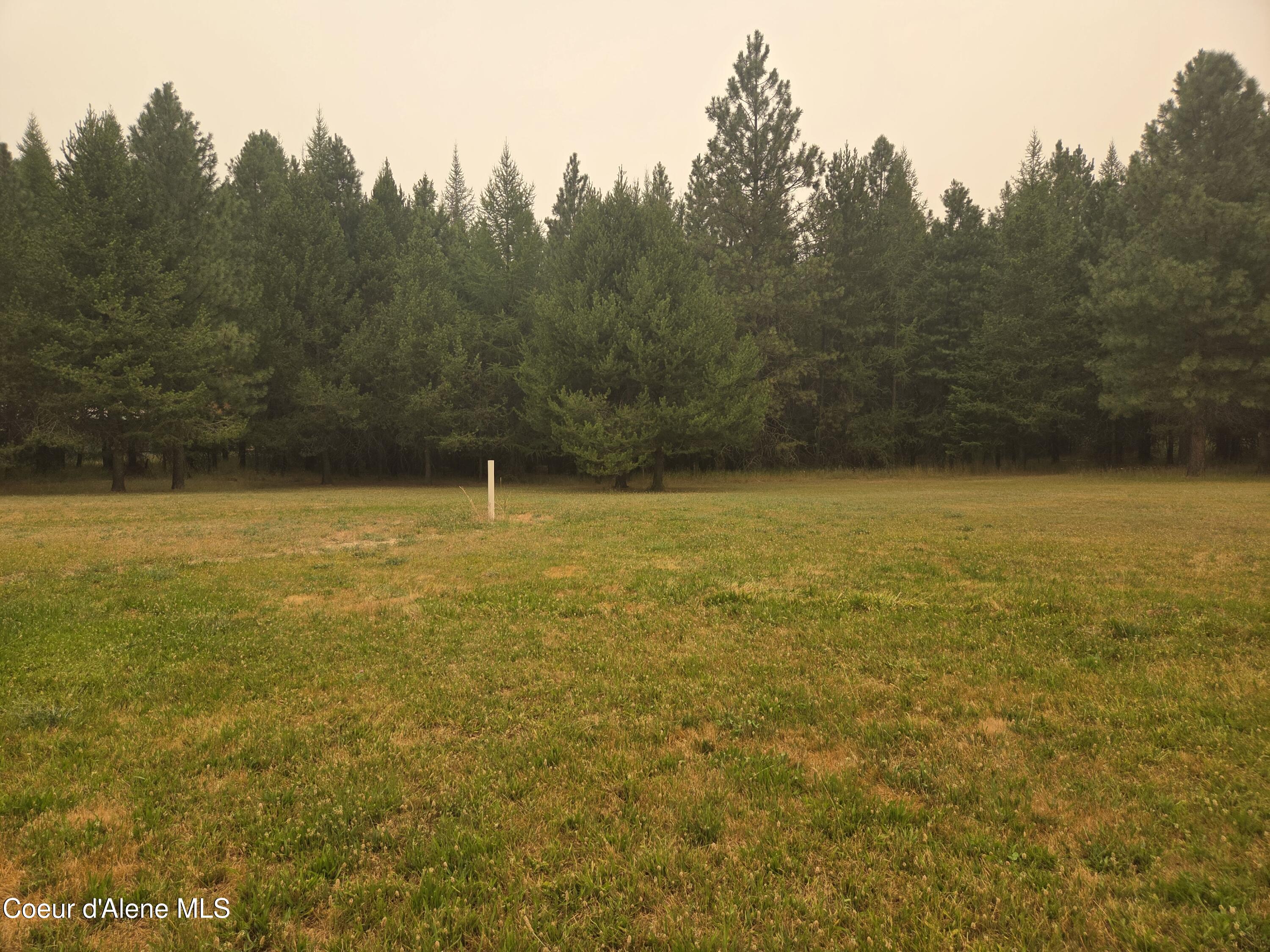 917 Mountain Meadows Road Naples, ID 83847 - Photo 3 of 12 20260802_085514(0)
