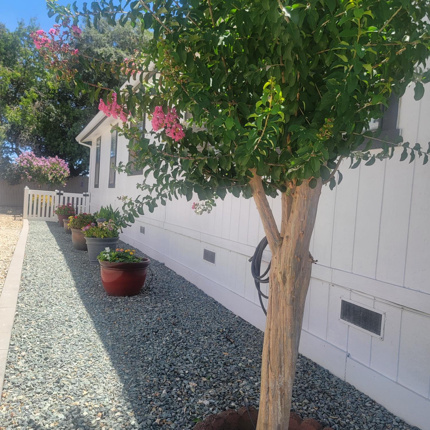 700 2nd Street, Unit 5 Galt, CA 95632 - Photo 21 of 32
